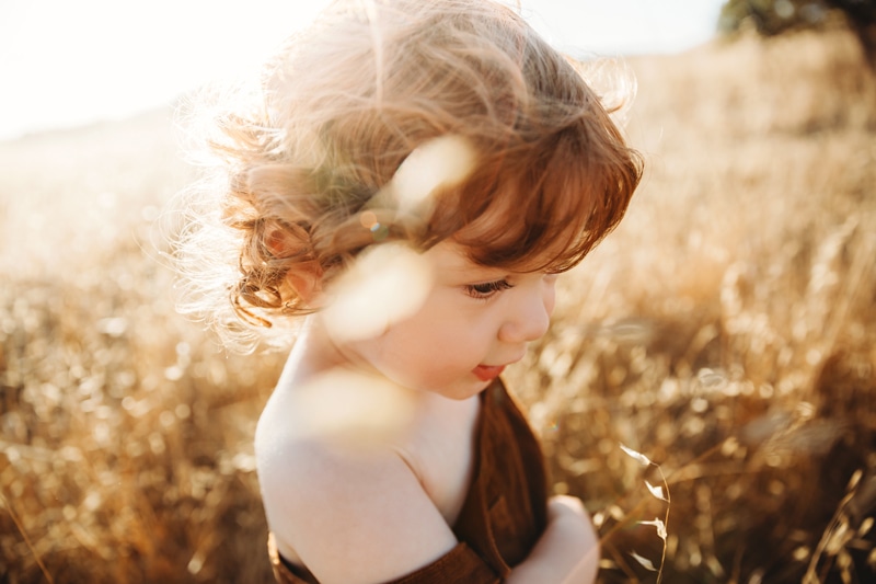 Family Photography, A young child walks in a dry grassy field